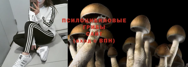 крисы Белокуриха