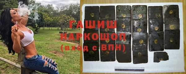 крисы Белокуриха