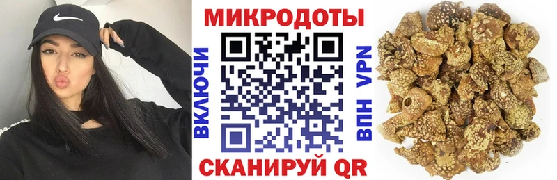 Псилоцибиновые грибы мицелий Сковородино