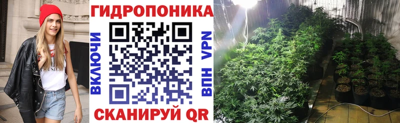 Шишки марихуана AK-47 Сковородино